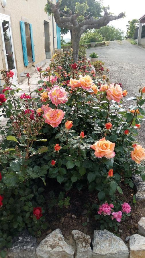La Vigneronne Bed and Breakfast Villelongue-d'Aude Eksteriør billede