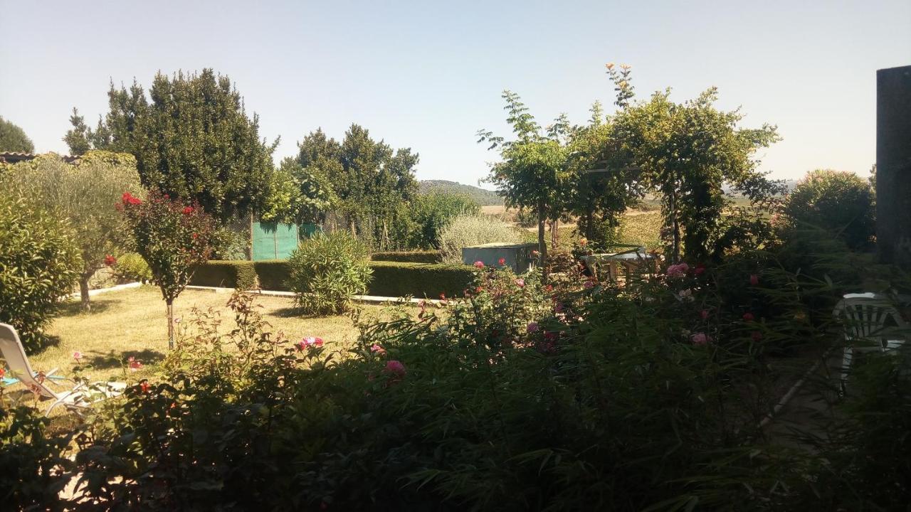 La Vigneronne Bed and Breakfast Villelongue-d'Aude Eksteriør billede